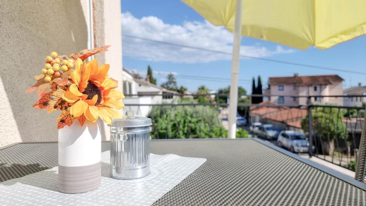 Ester Novigrad Istria Dış mekan fotoğraf